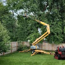 Best Lawn Watering Services  in Walnut, CA