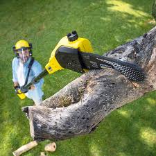 Lawn Renovation and Restoration in Walnut, CA