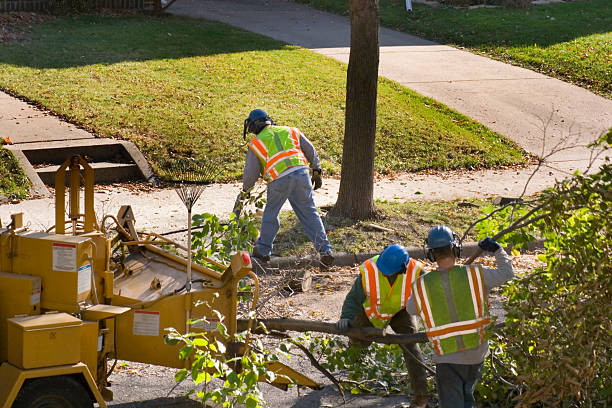 Best Tree Health Inspection  in Walnut, CA
